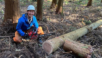 花粉の少ないスギの植栽拡大
